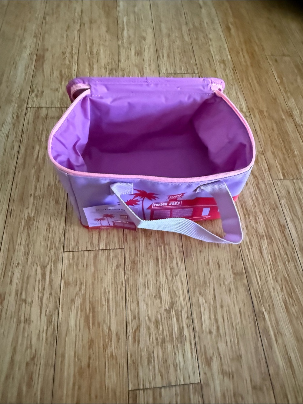 Trader Joe's Purple Insulated Mini Storage Tote
